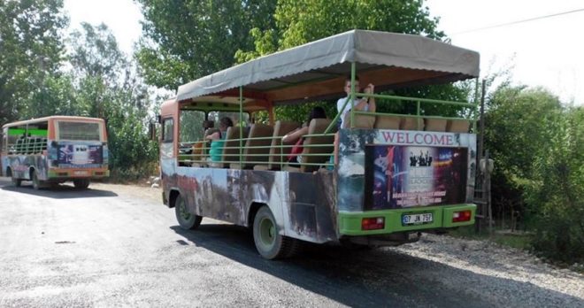 Side Cabrio Bus Safari – Pełna Akcji Przygoda na Świeżym Powietrzu!
