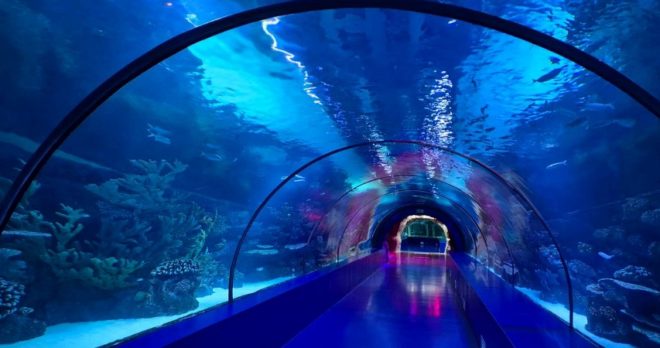 Wycieczka do Akwarium w Antalyi – Tunelowe Akwarium i Muzeum Woskowe